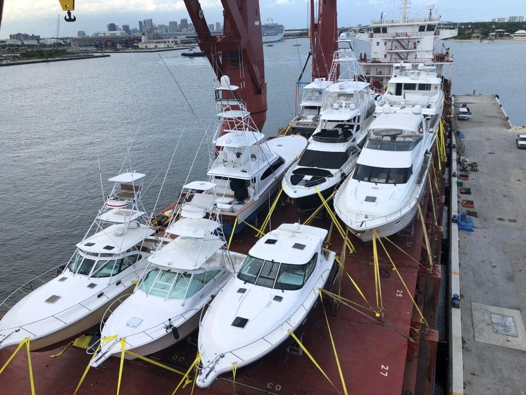 OceanFreedom Bisbee FullDeck