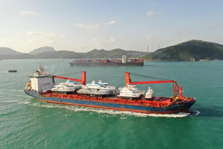FLIBS